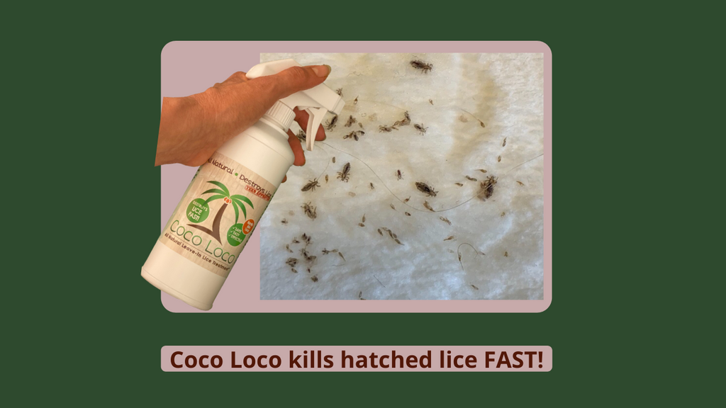 Coco Loco Nit Kit, Coco Loco Lice Treatment Spray, Lice Comb